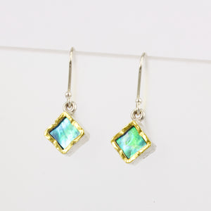 DM131C: Paua earrings