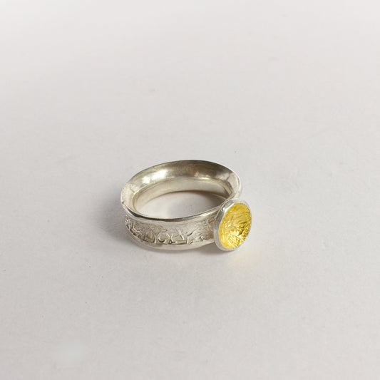 DM819B: Sun catcher ring