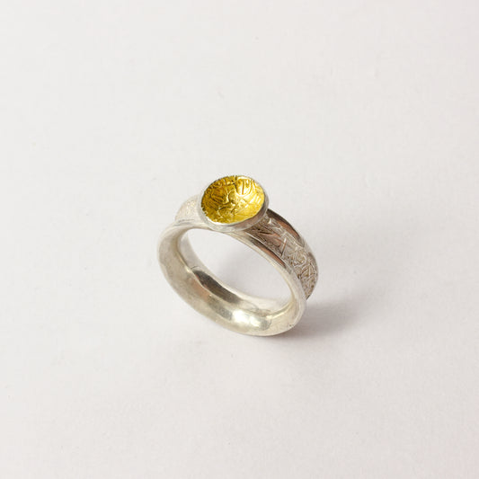 DM819B: Sun catcher ring