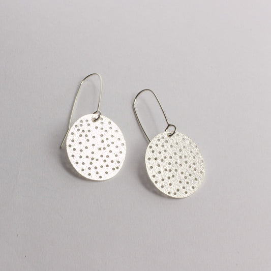 FS312: Holey disc earrings - shiny
