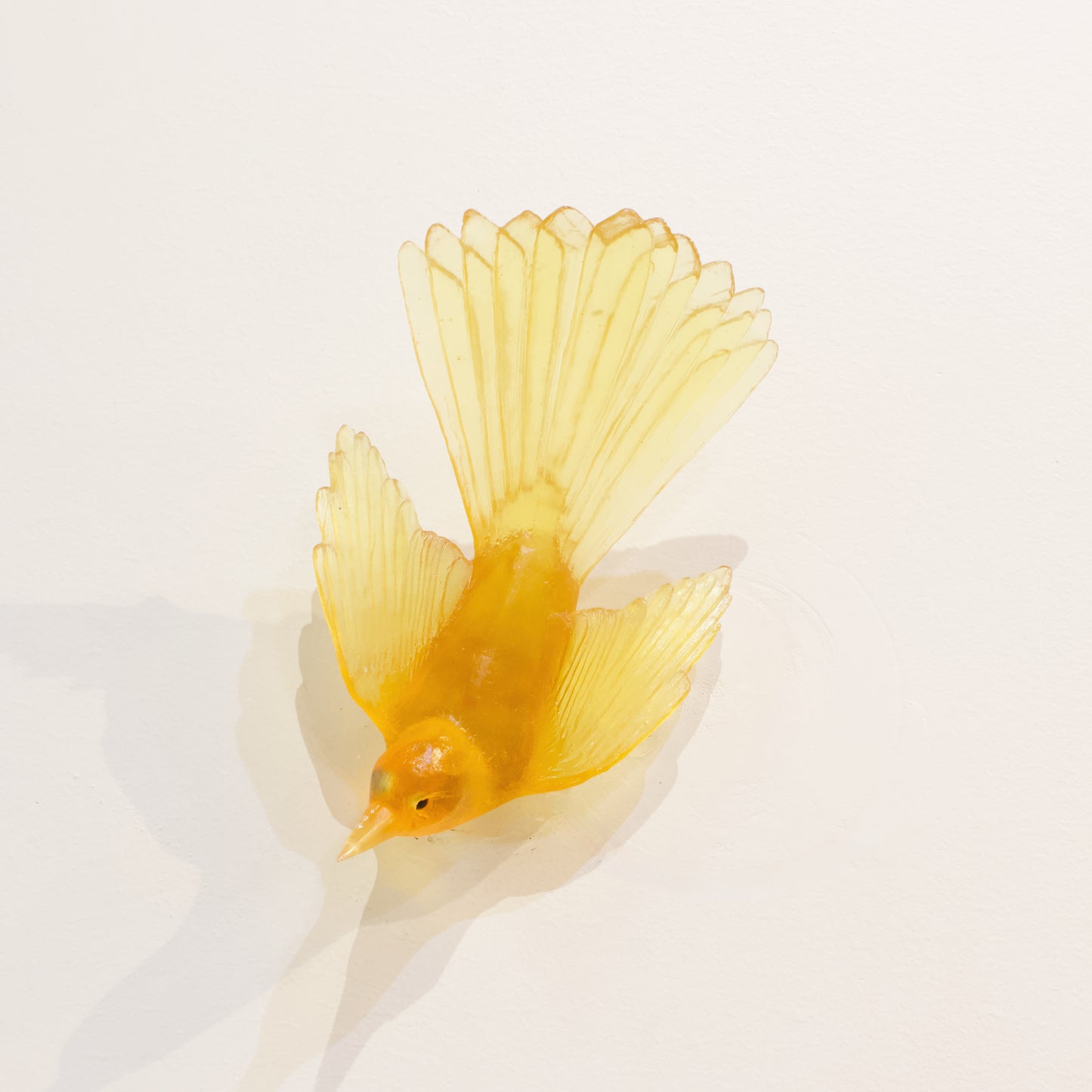 LJ: Fantail/Pīwakawaka - yellow