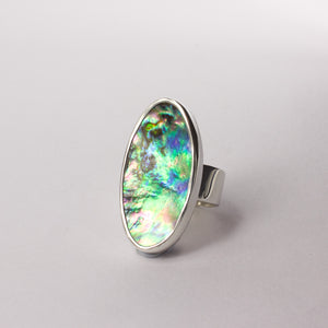 RW328: Paua ring