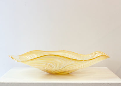 JCU360: Mohua feather platter