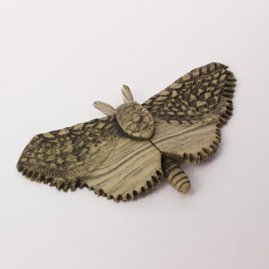 JW07: Moth