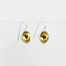 FS241: Gold bowl earrings