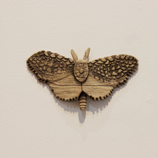 JW07: Moth