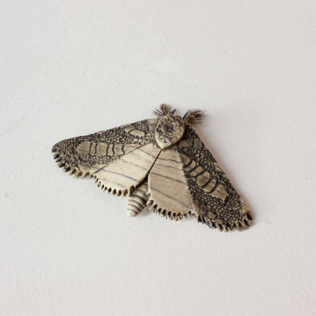 JW26: Moth