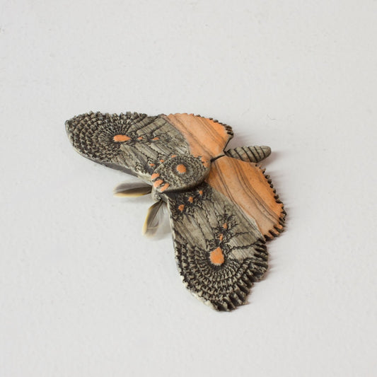 JW30: Moth