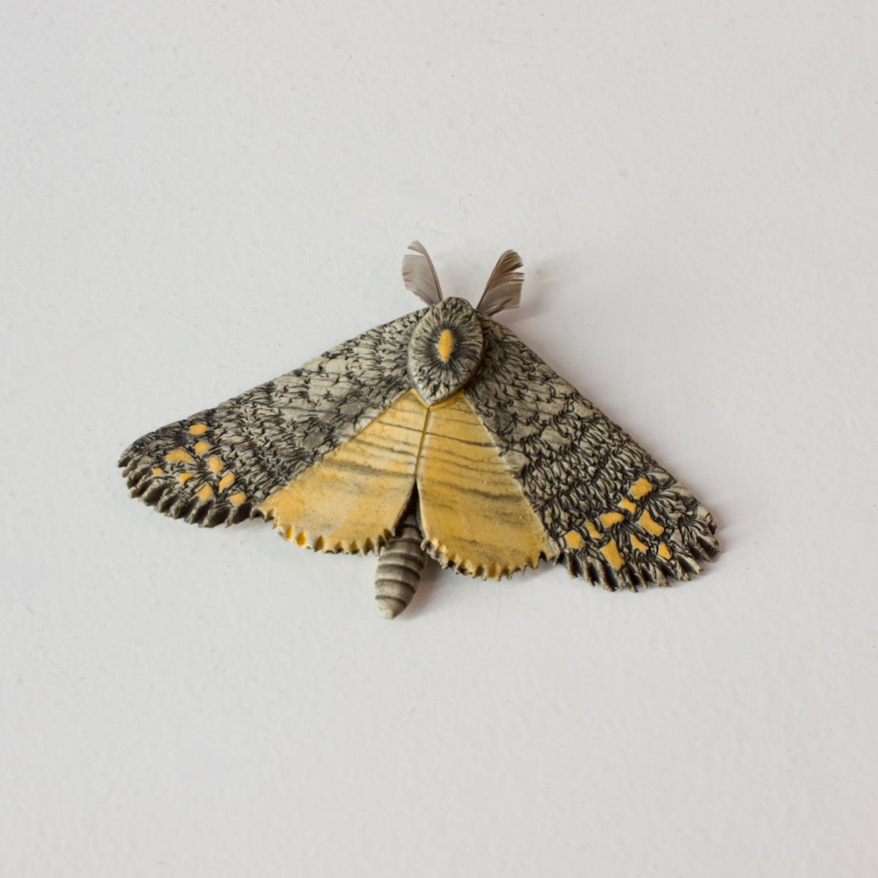 JW36: Moth