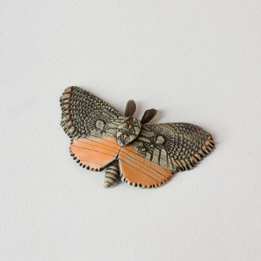 JW38: Moth