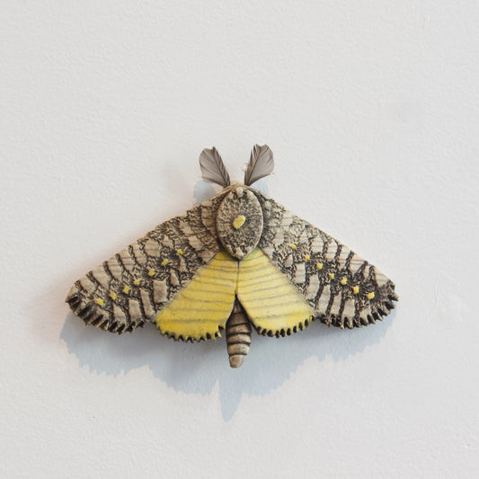 JW57: Moth
