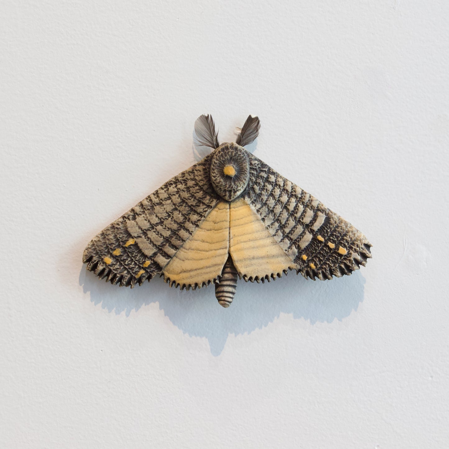 JW58: Moth