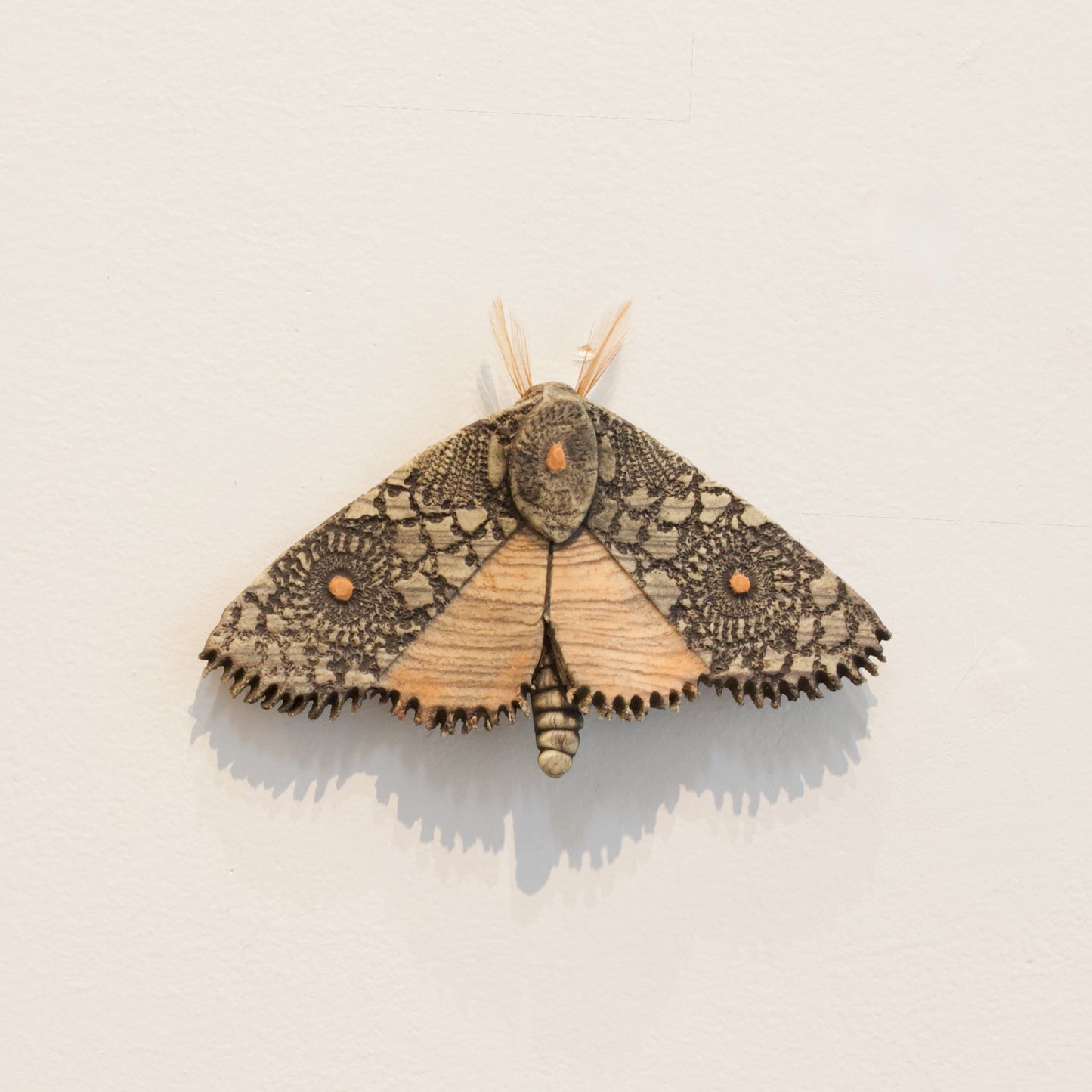 JW75: Moth