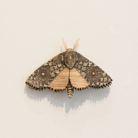JW75: Moth