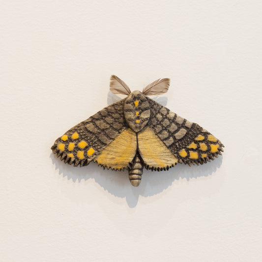 JW79: Moth