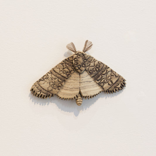 JW81: Moth