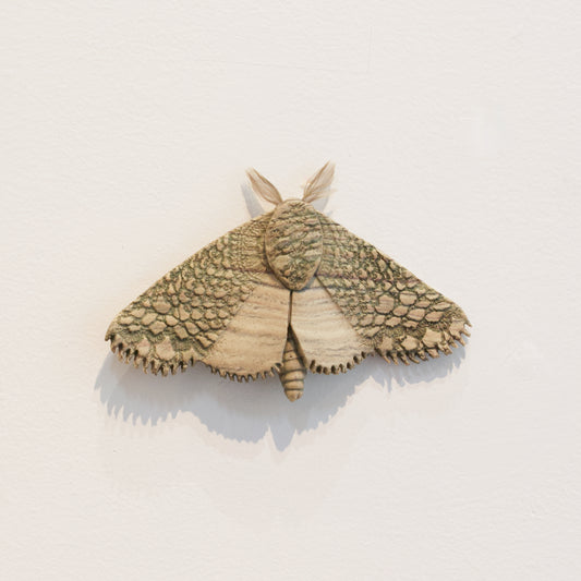 JW82: Moth