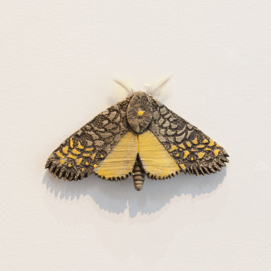 JW85: Moth