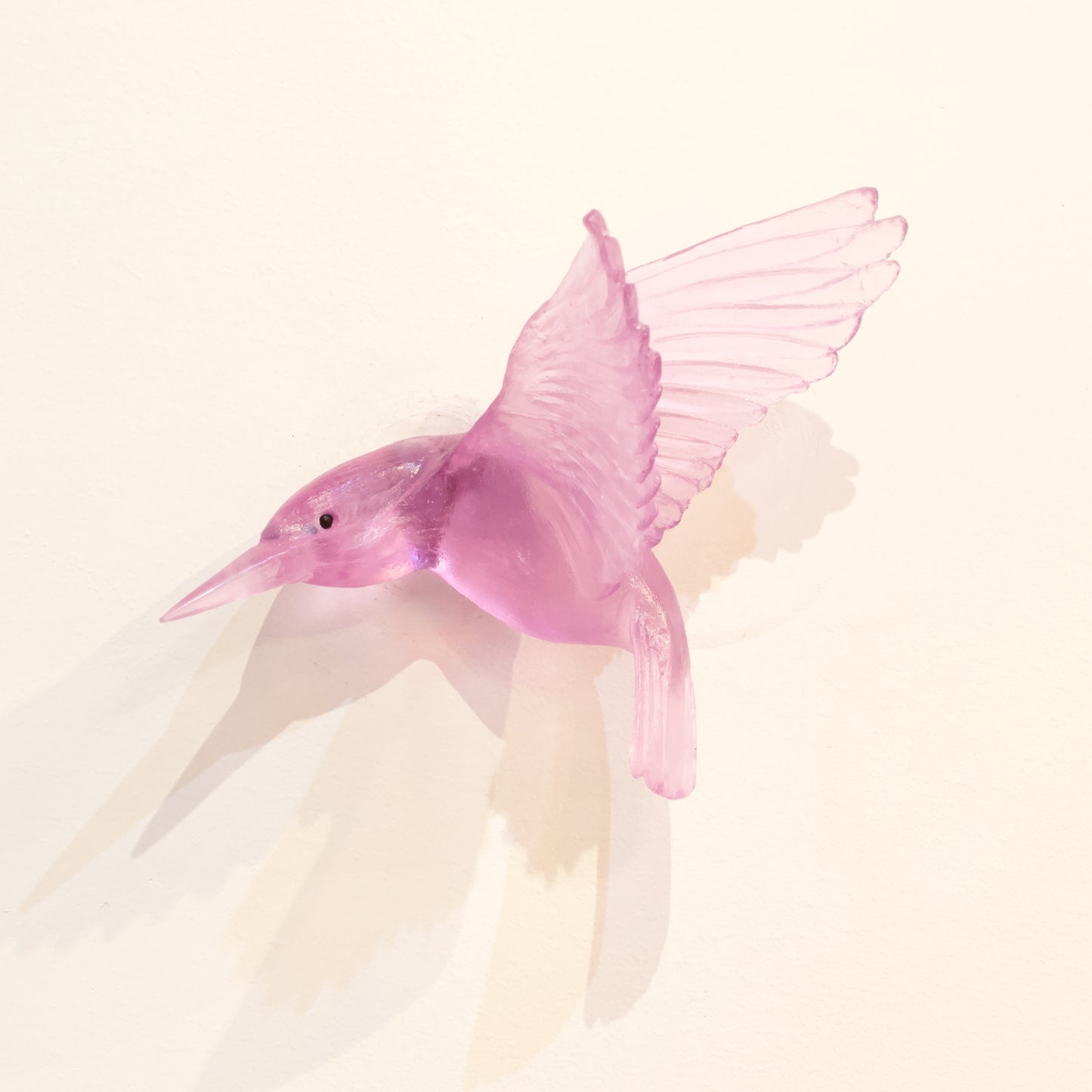 LJ: Kingfisher/Kōtare - fuchsia pink
