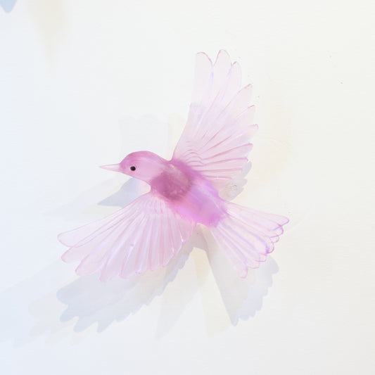 LJ937Q: Mohua/Yellowhead - fuchsia