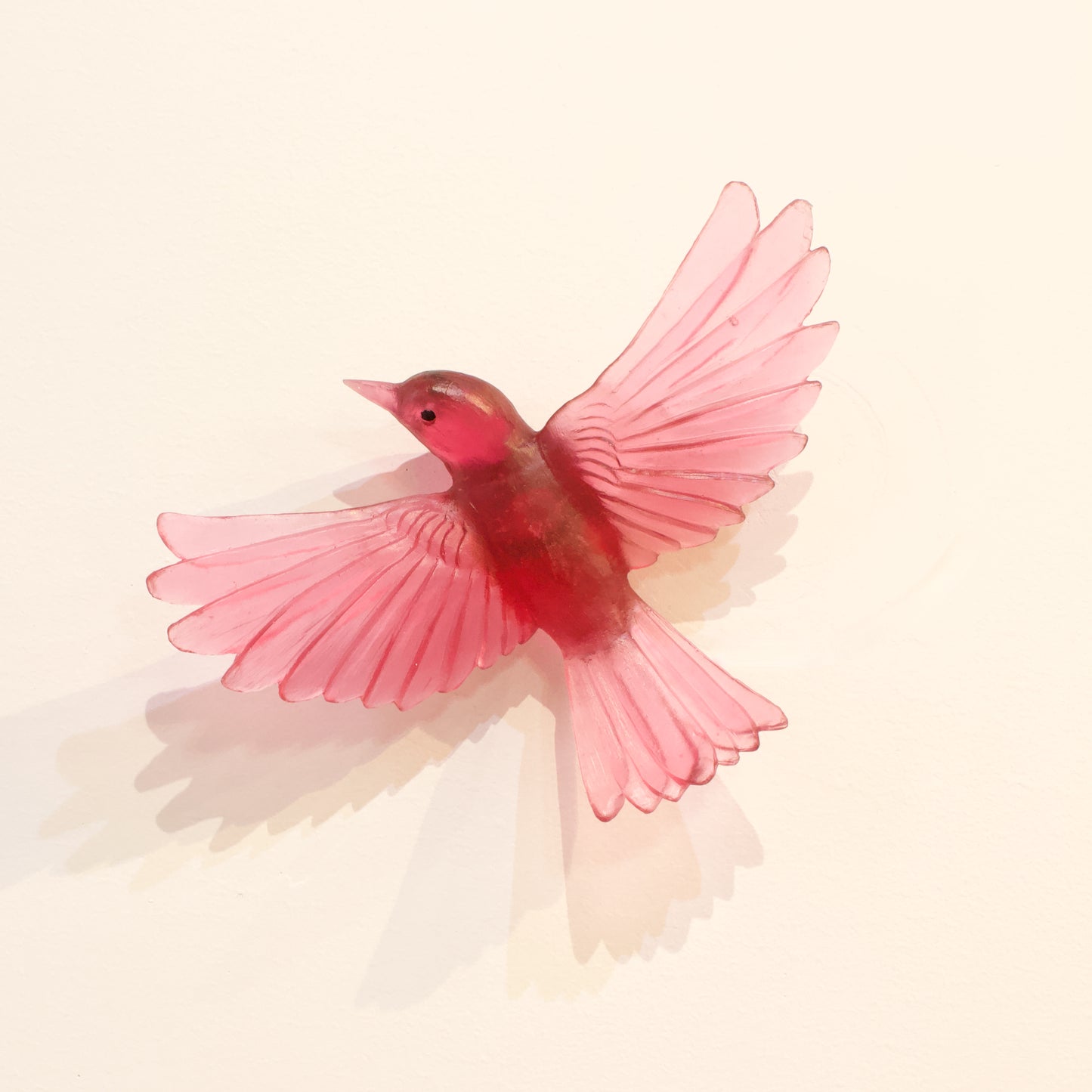 LJ: Mohua/Yellowhead - gold ruby