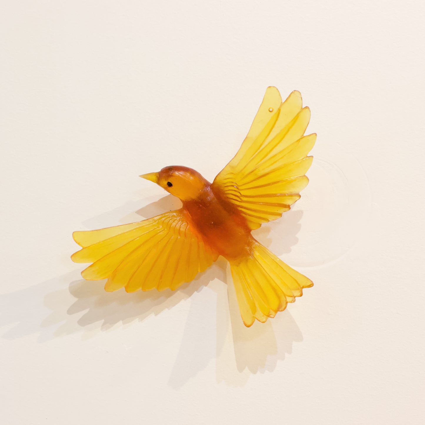 LJ: Mohua/Yellowhead - orange