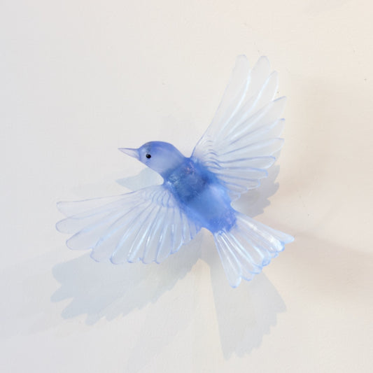 LJ: Mohua/Yellowhead - pale cobalt blue