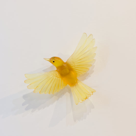 LJ: Mohua/Yellowhead - yellow