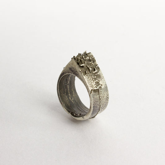 NG101: Knuckle duster ring