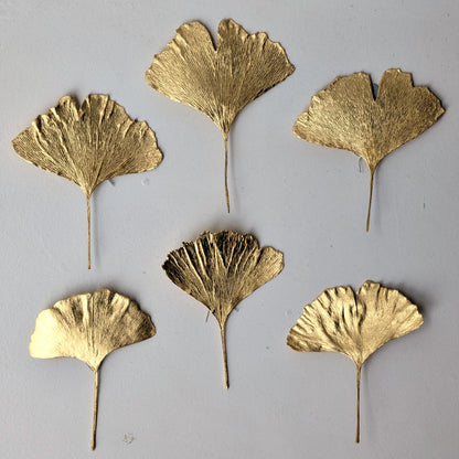 RMH: Wall jewellery - ginkgo leaves
