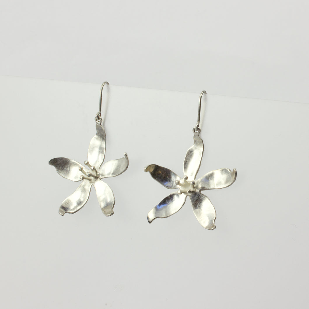 RF176: Large hoheria earrings