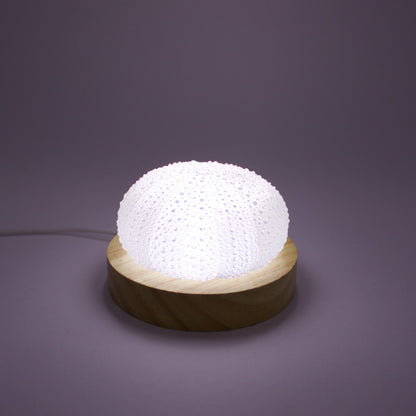 RH370: Kina light