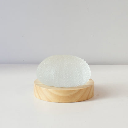 RH370: Kina light