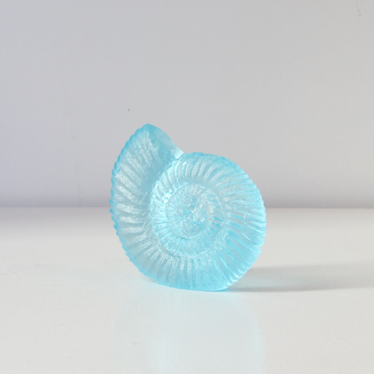 RH449A: Ammonite - pale aqua