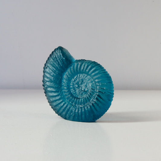 RH452A: Ammonite - sea blue