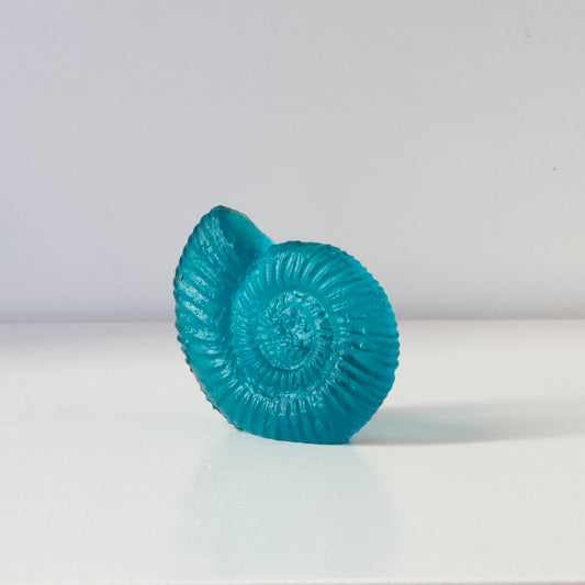 RH453A: Ammonite - jade