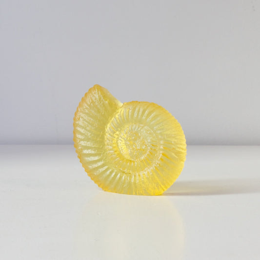 RH455A: Ammonite - yellow