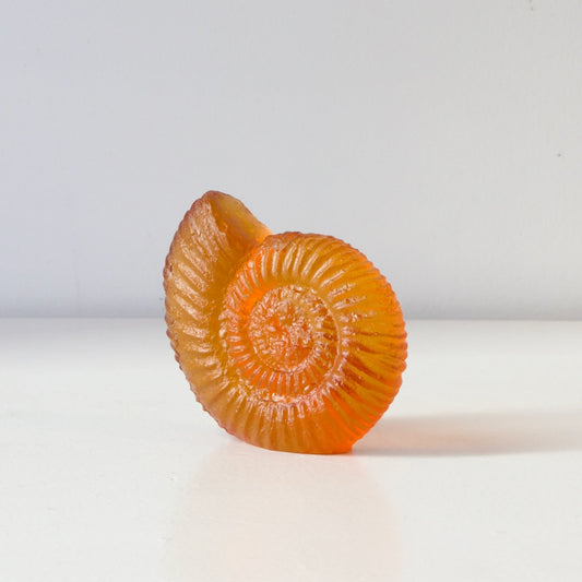 RH456A: Ammonite - orange