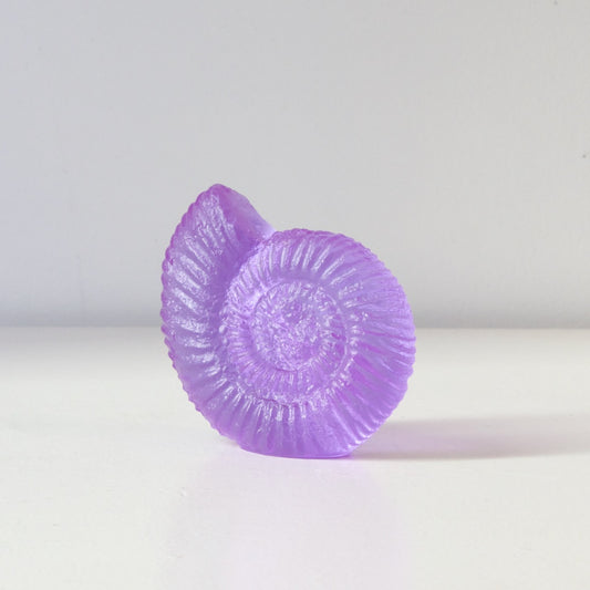 RH458A: Ammonite - violet