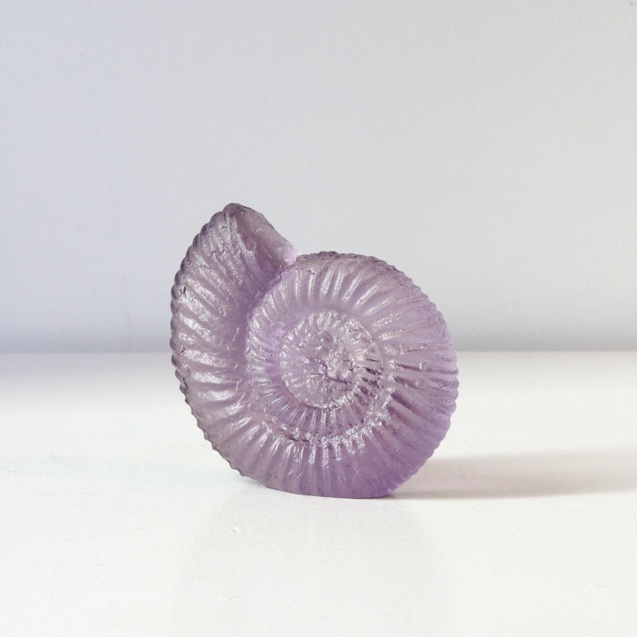 RH459A: Ammonite - grape