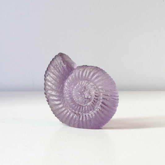 RH459A: Ammonite - grape