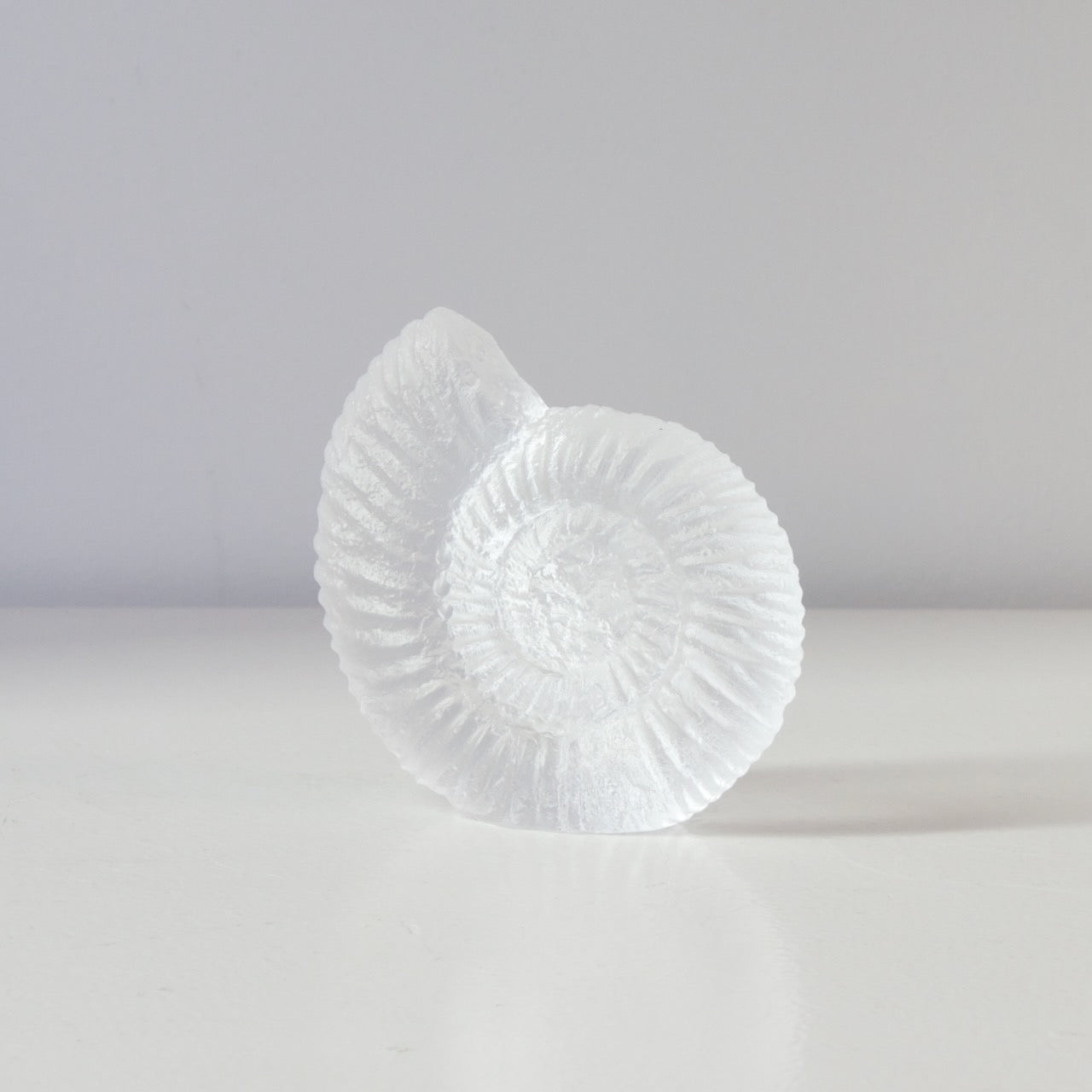 RH460A: Ammonite - clear