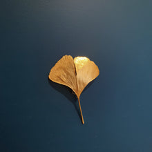 RMH Ginkgo leaves