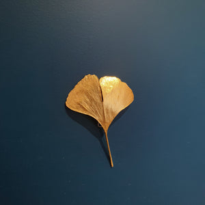 RMH Ginkgo leaves