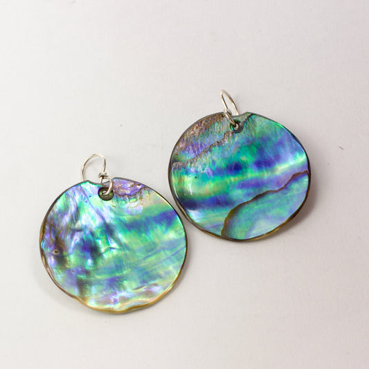 SM264: Pāua landscape earrings