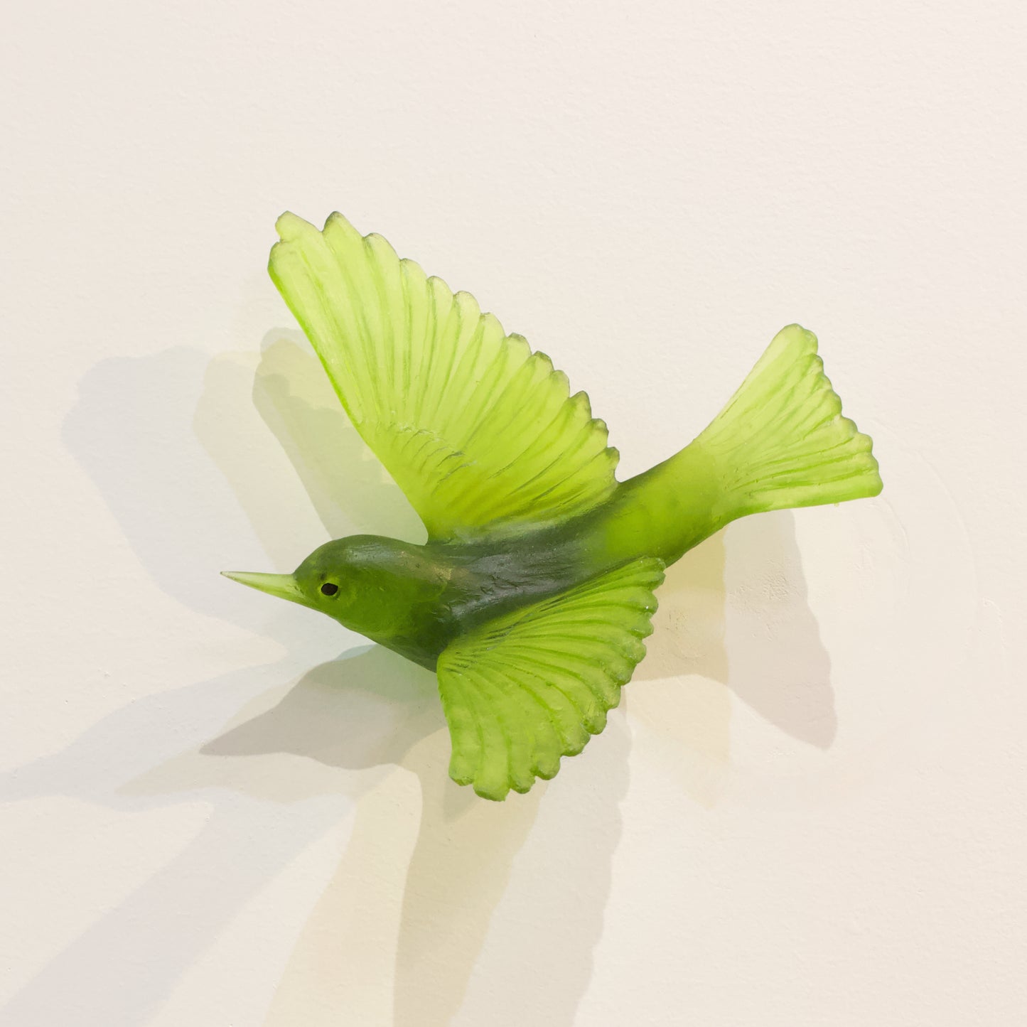 LJ: Silvereye/Tauhou - olive green