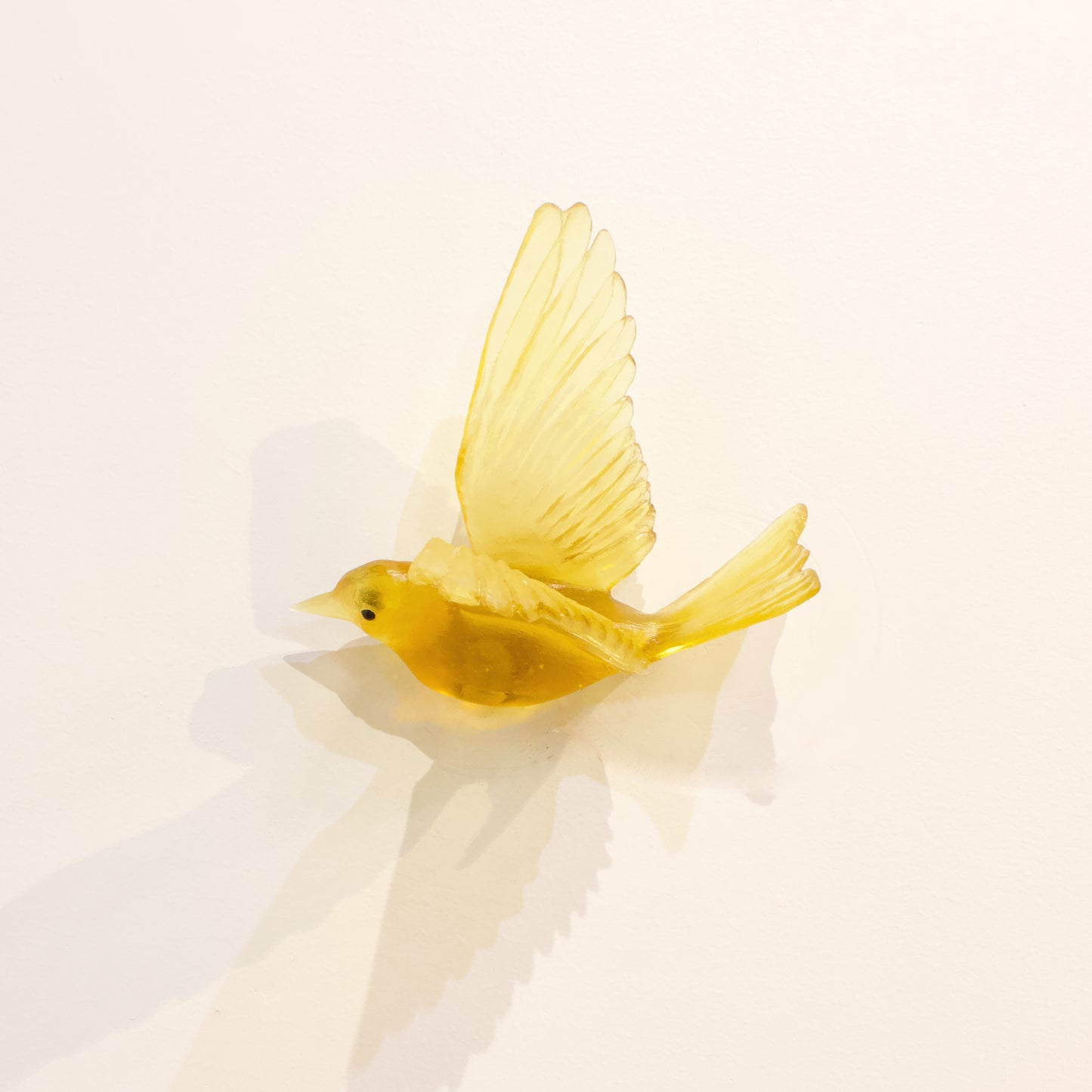 LJ: Stitchbird/Hihi - chardonnay