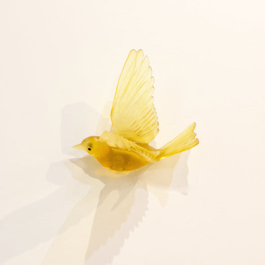 LJ: Stitchbird/Hihi - chardonnay