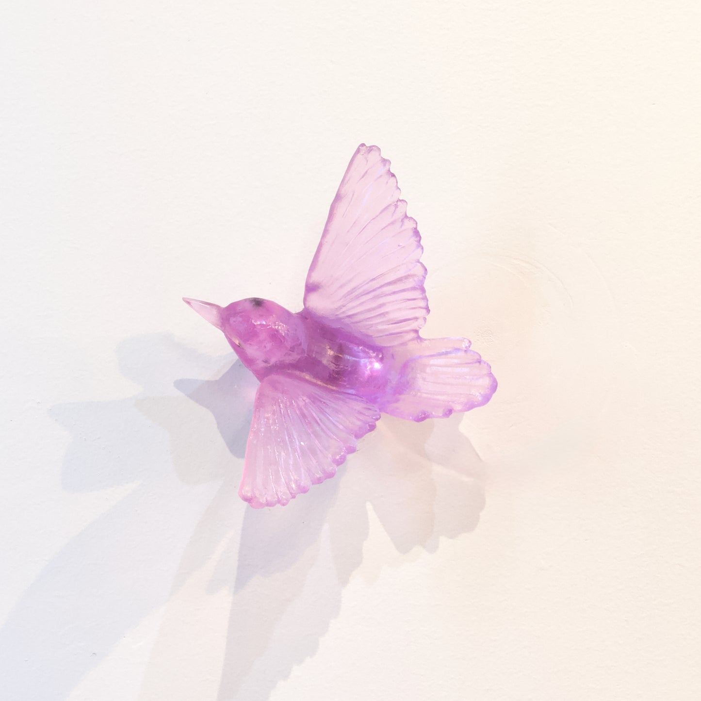 LJ: Tomtit/Miromiro - fuchsia pink