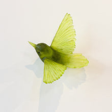 LJ: Tomtit/Kōmiromiro - assorted colours - please enquire